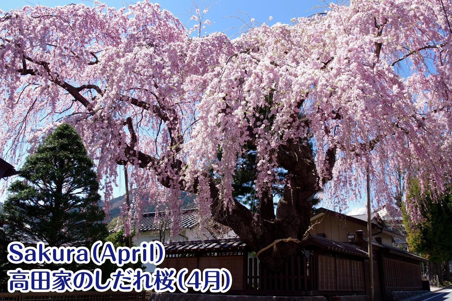 Nikko Stay House Arai - Vacation Stay 13830V Exterior foto